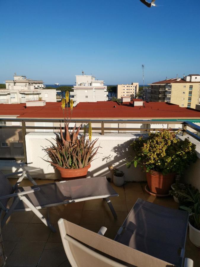 Pina Beach Holidays La Pineda Esterno foto
